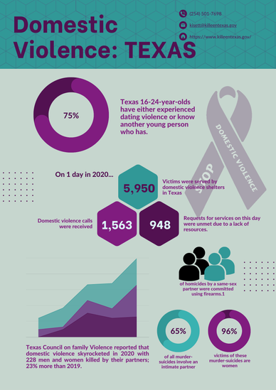 Domestic Violence: Texas infographic